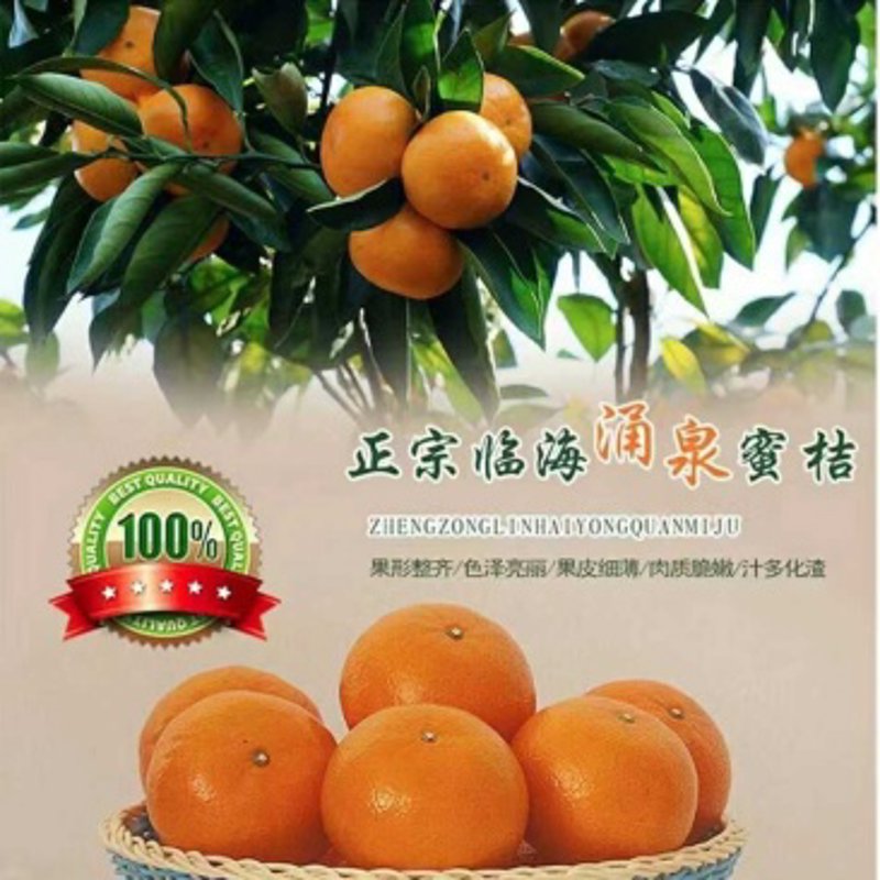 临海农产品如何走向全国？