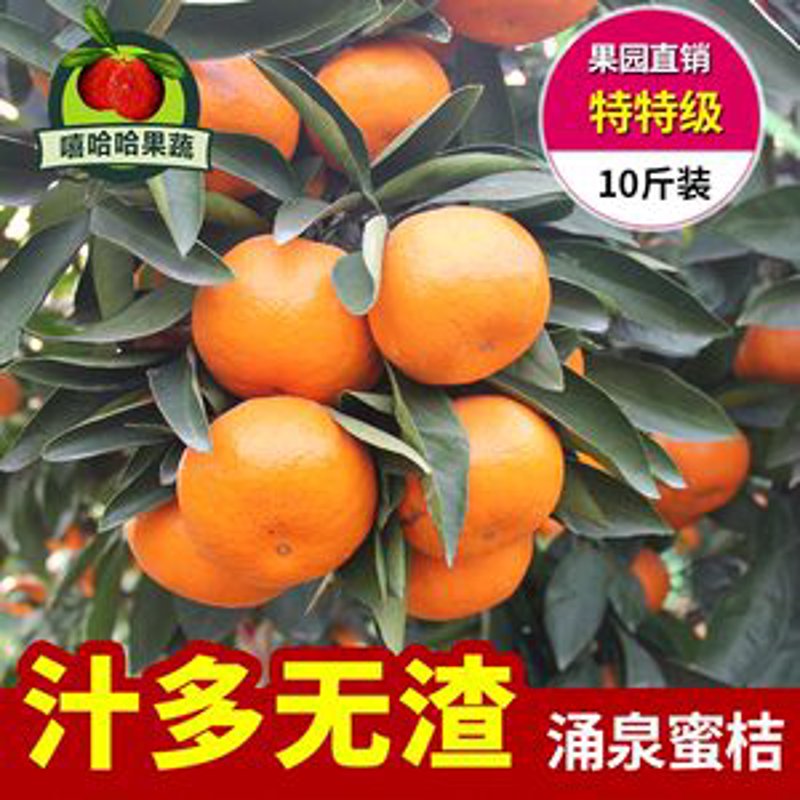 如何选择可靠的蔬菜配送服务?这个问题困扰着许多家庭和企业,尤其是在快节奏的现代生活中。让我们一起探索一下这个话题吧。