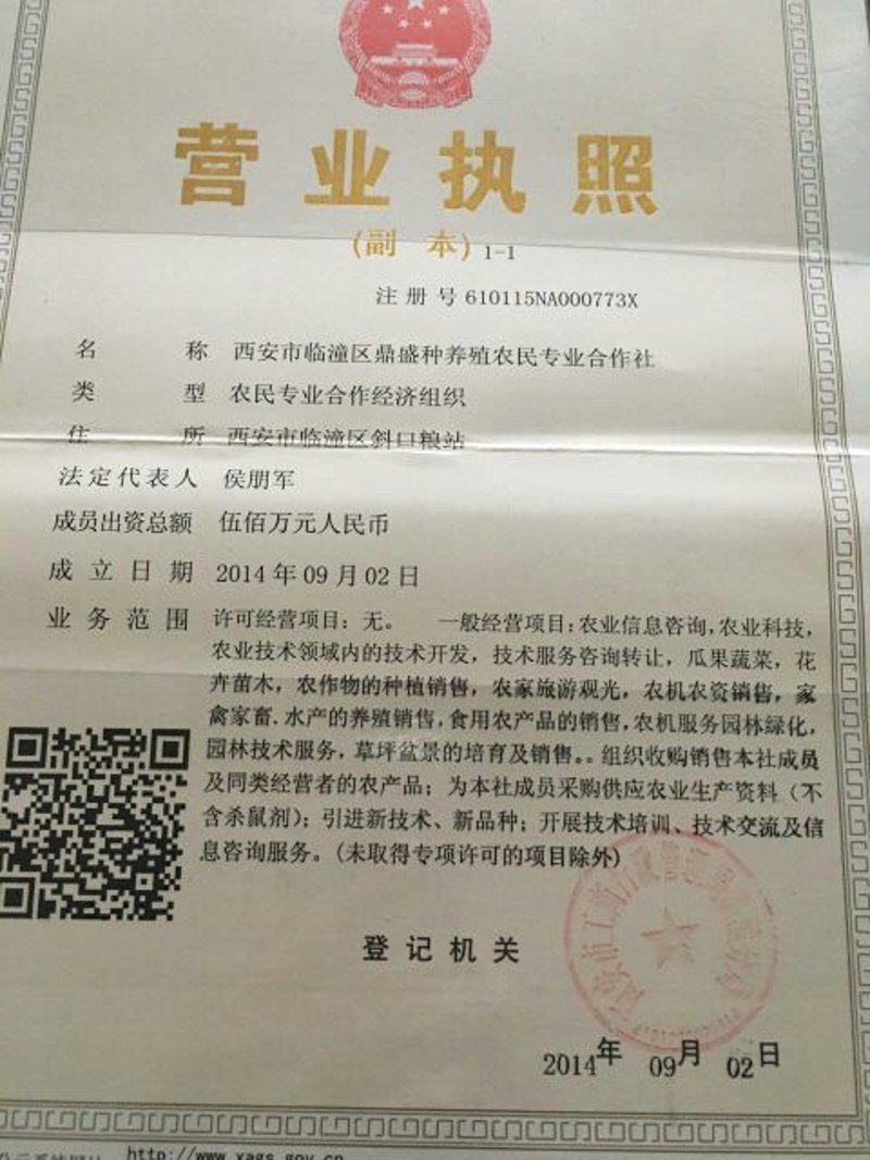如何在临海找到优质且经济实惠的果蔬批发源?今天就为你揭开这个谜题。