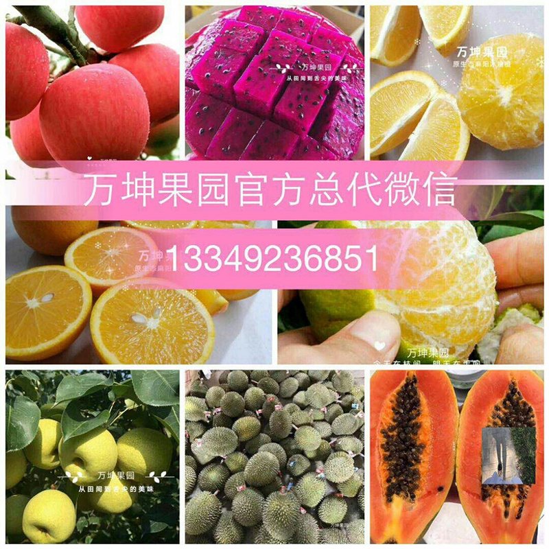 新鲜蔬菜配送——选择哪家更合适？