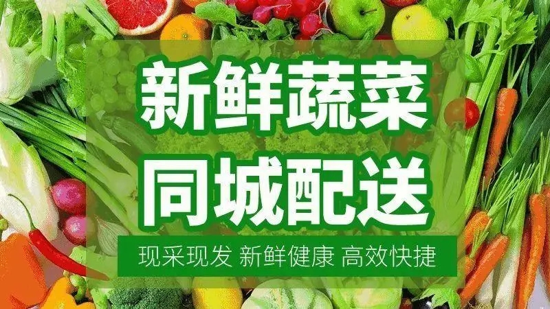 果蔬种植基地，现代农业的绿色梦想